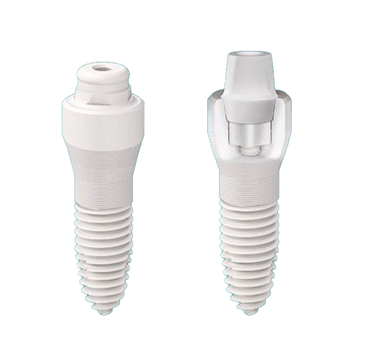 Two white dental implants with screw-like bases and cylindrical tops, shown side by side against a black background; the left implant is capped, while the right reveals the abutment and internal structure.